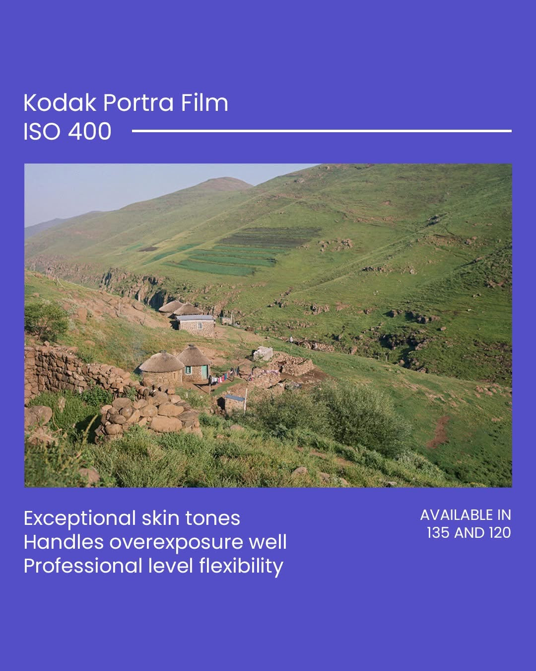 Kodak Portra 400 120 Film 5 Pack