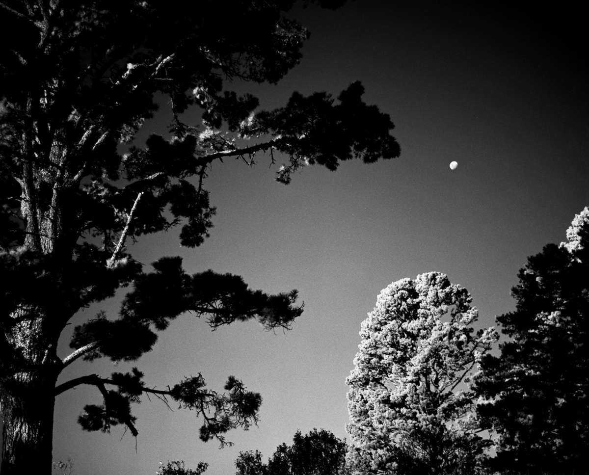 Rollei Infrared 400 120 B&W Film
