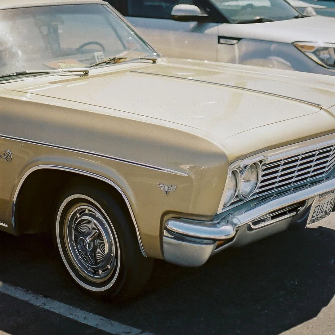 Candido 400 Colour Film - Daylight