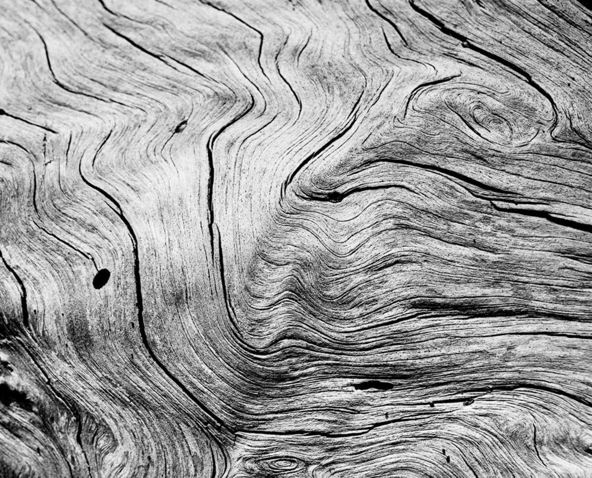 Rollei Ortho 25 Plus 120 B&W Film