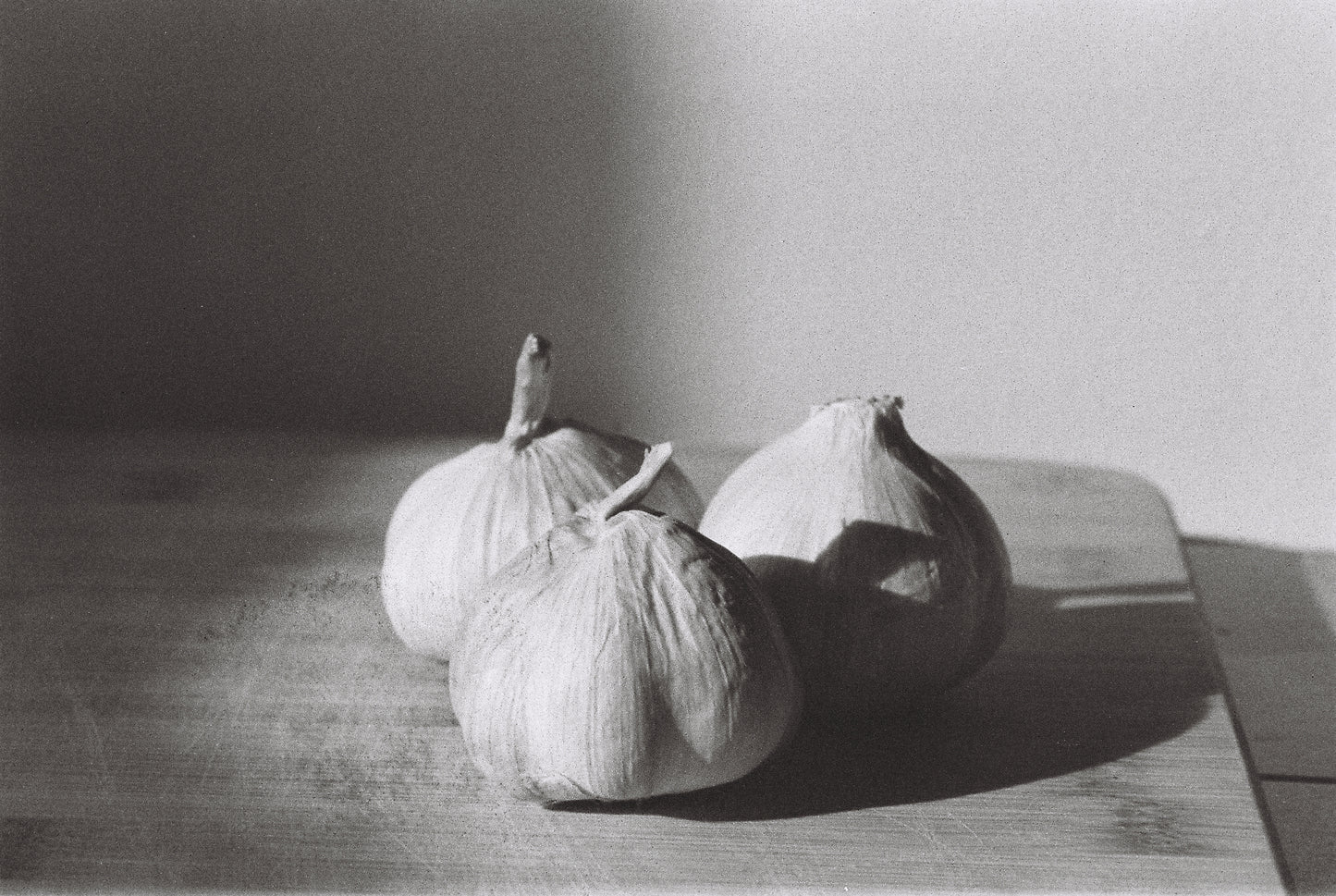 Dragon Film No 2 - Black & White - 24 Exposure
