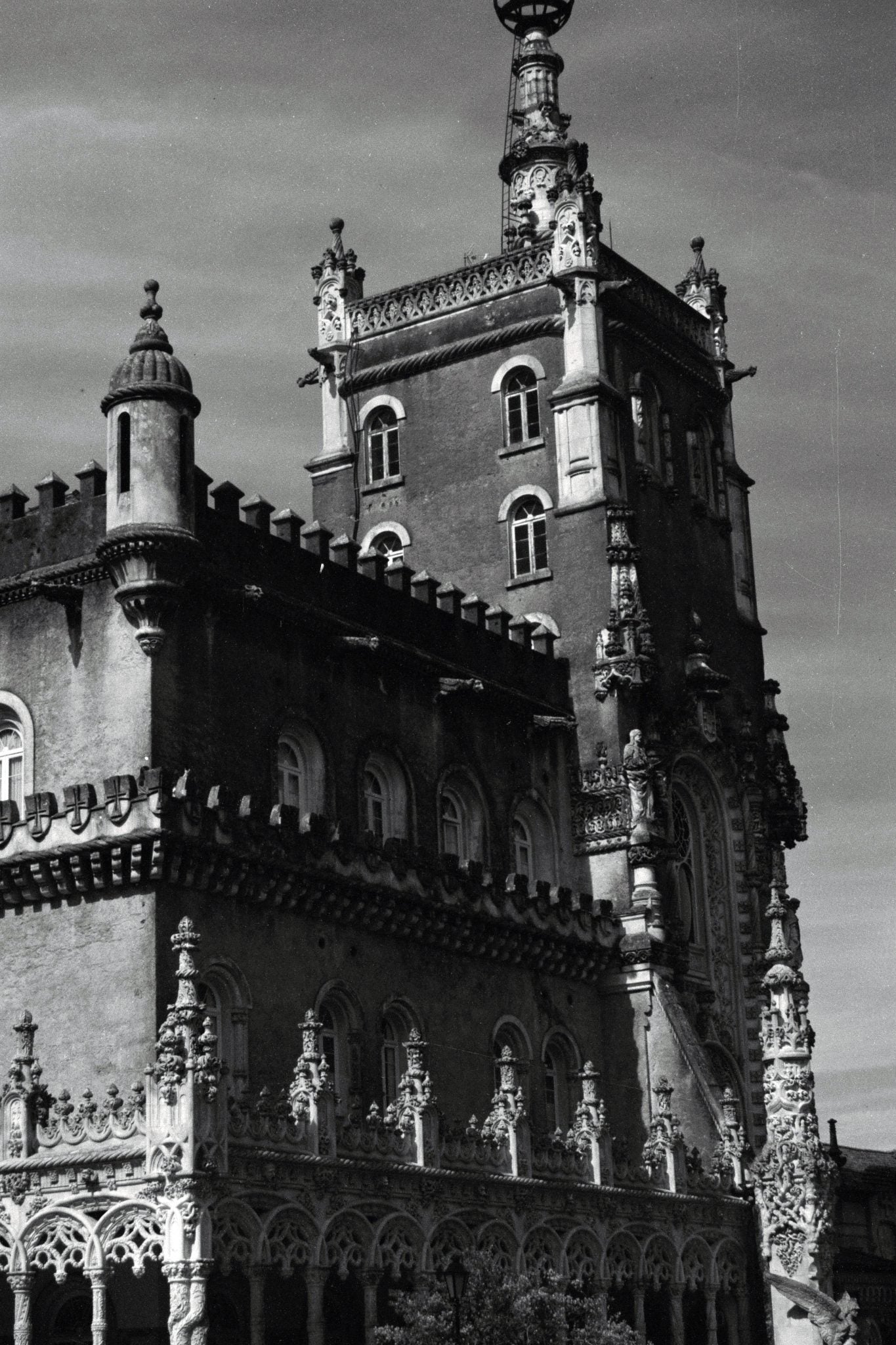 Cinemot Pessoa 400D Black & White Film 36 Exposure