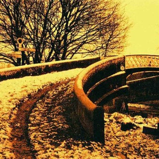 Harman Redscale 125 Film - 36 Exposure