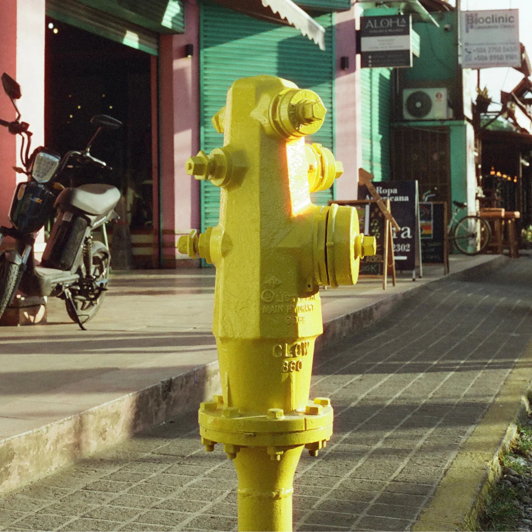 Candido 400 Colour Film - Daylight