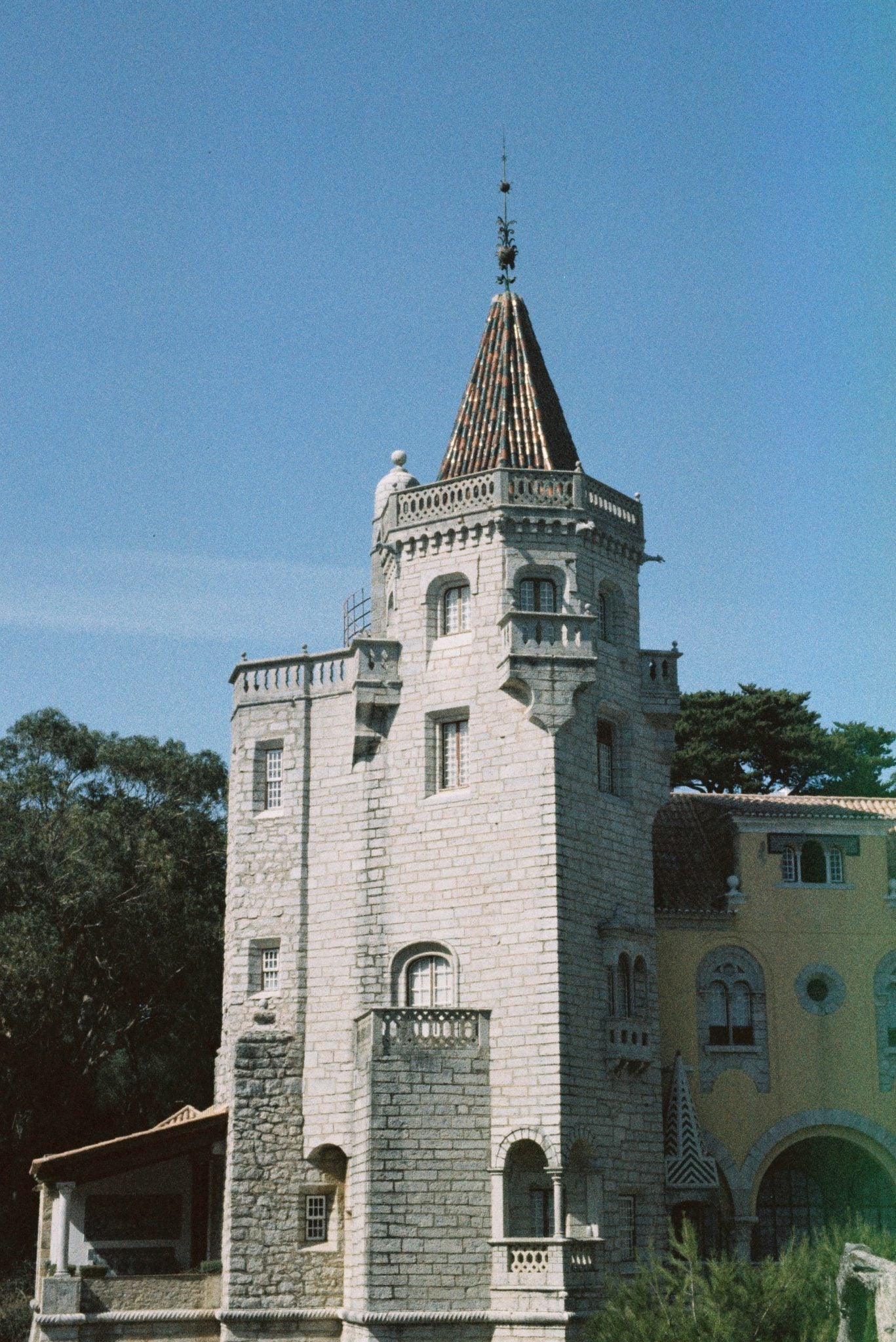 Cinemot Santa Cruz 200D 36 Exposure Colour Film