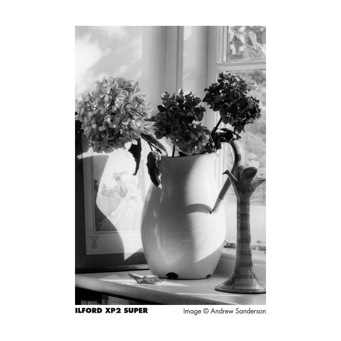 Ilford XP2 400 120 Film