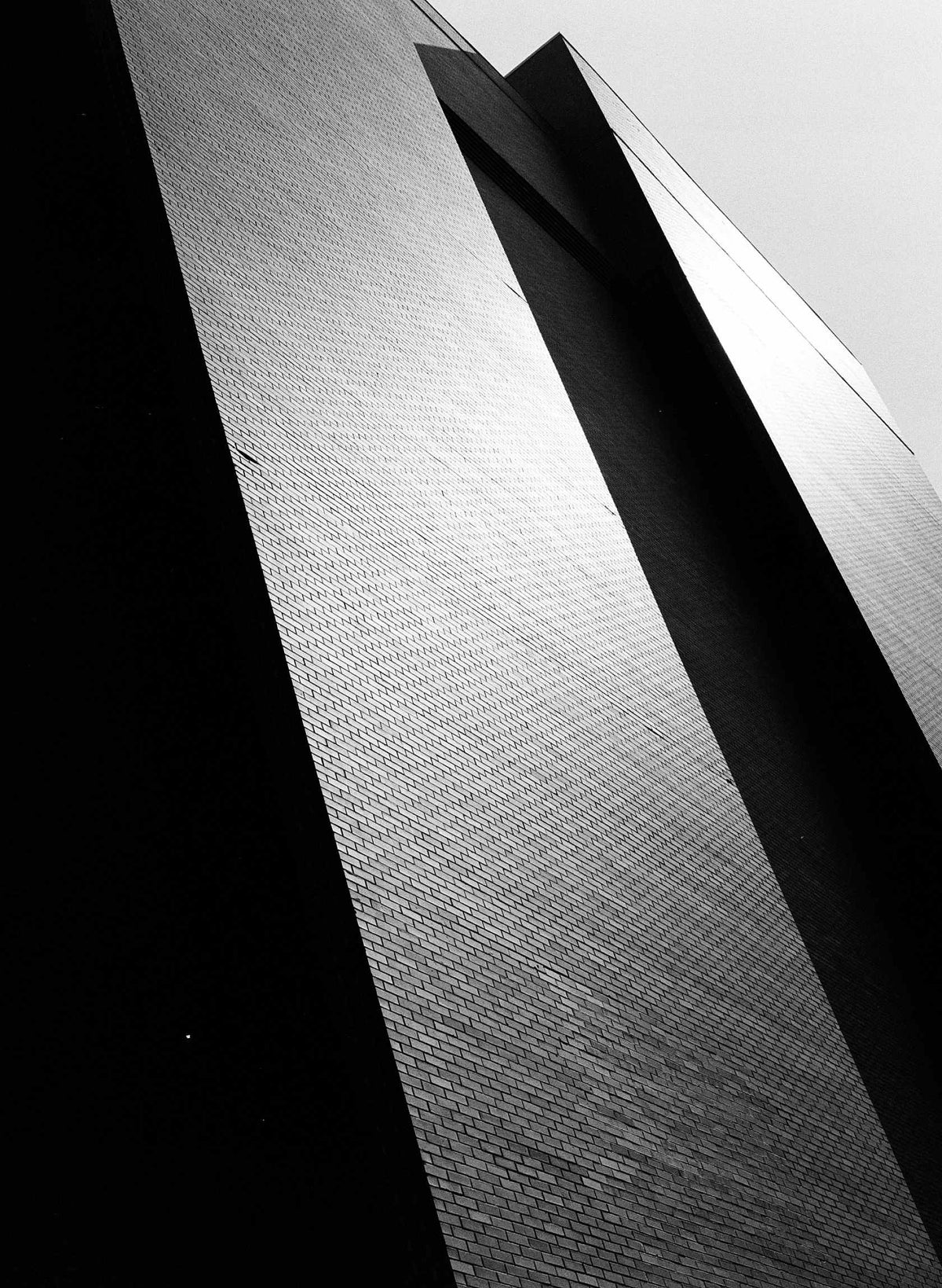 Kodak Tri-X 400 120 Film 5 Pack - B&W
