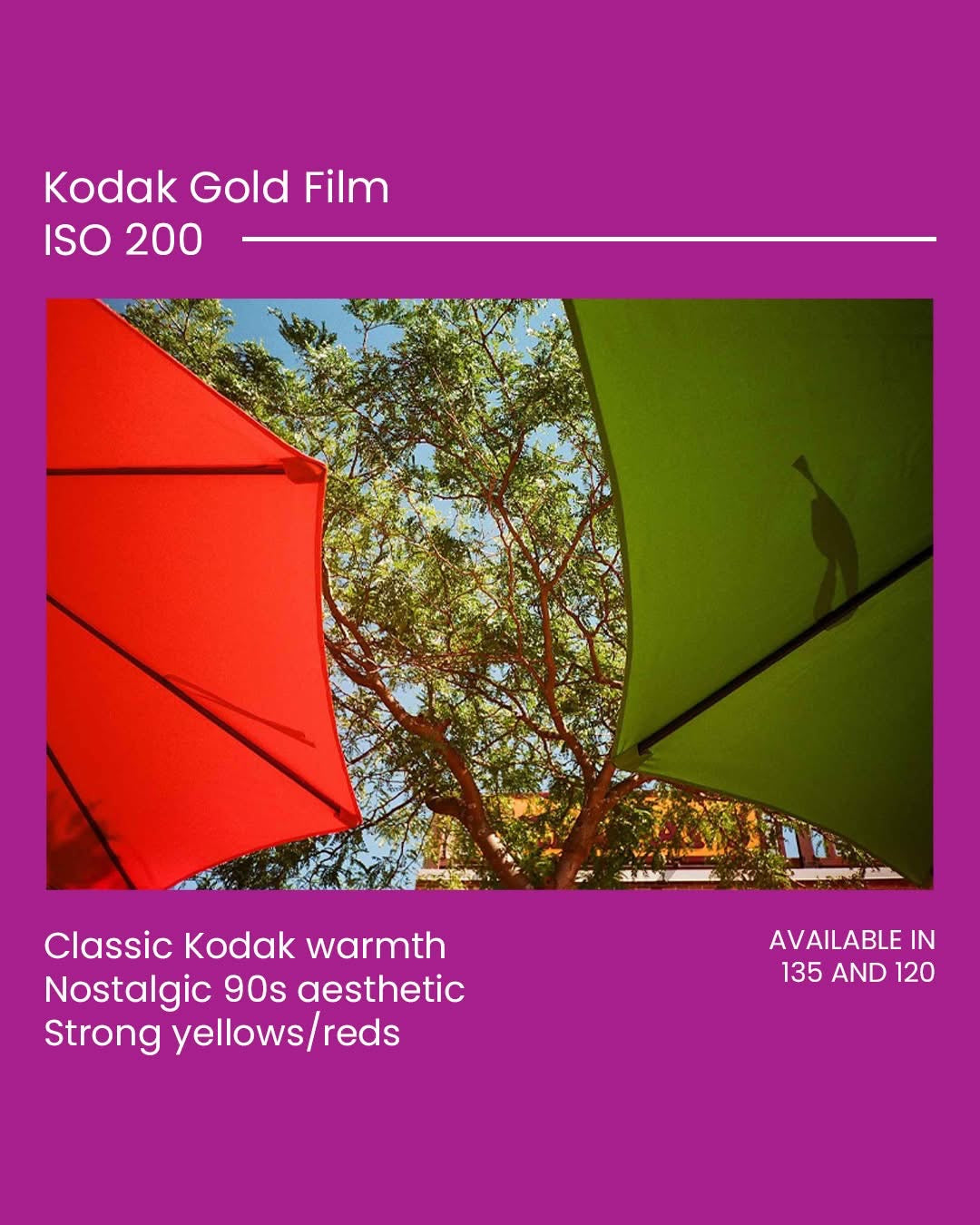 Kodak Gold 200 Film 35mm 36 Exposure 3 Pack