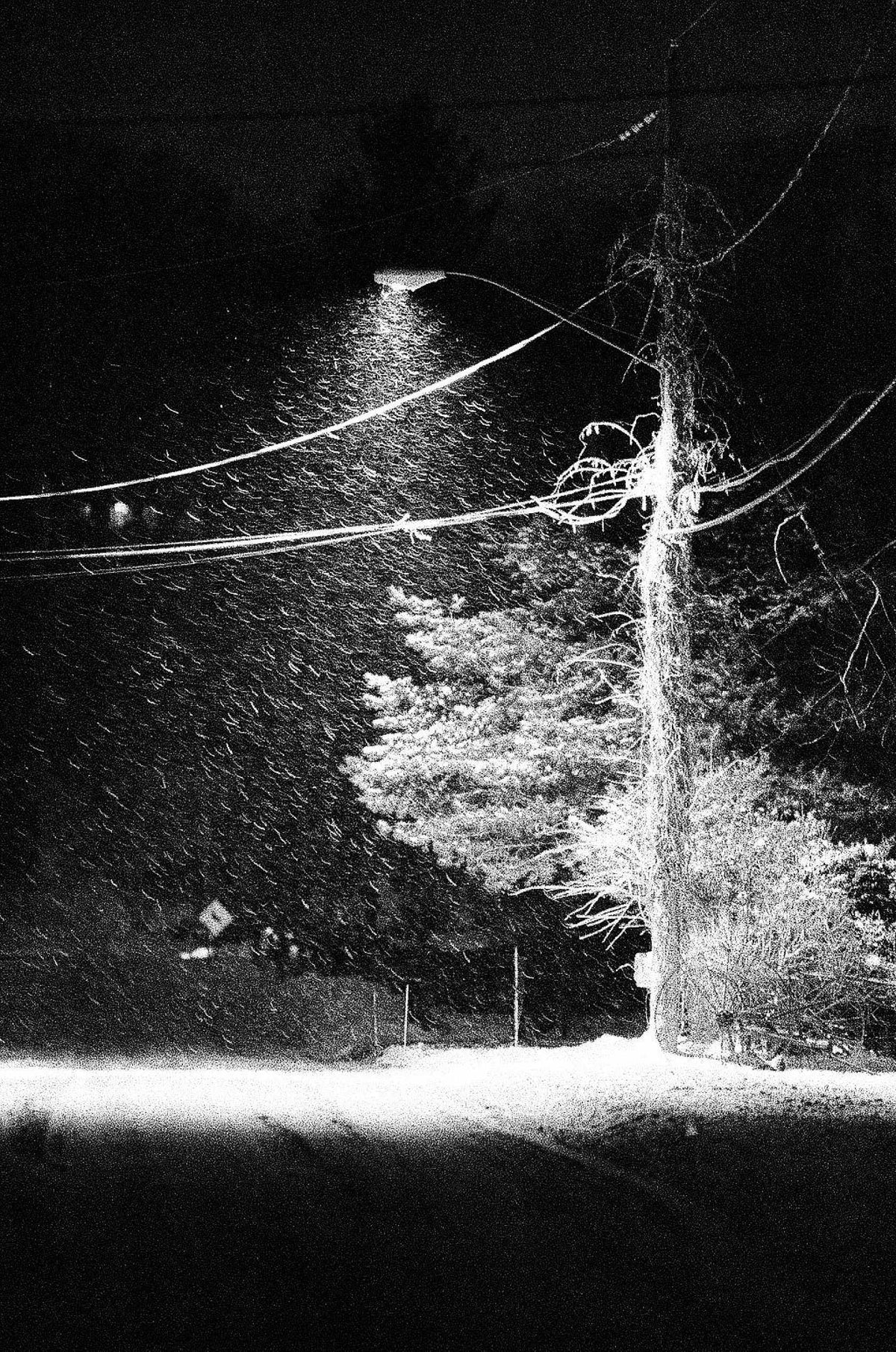 Kodak Ektapan P3200 Black & White Film 36 Exposure