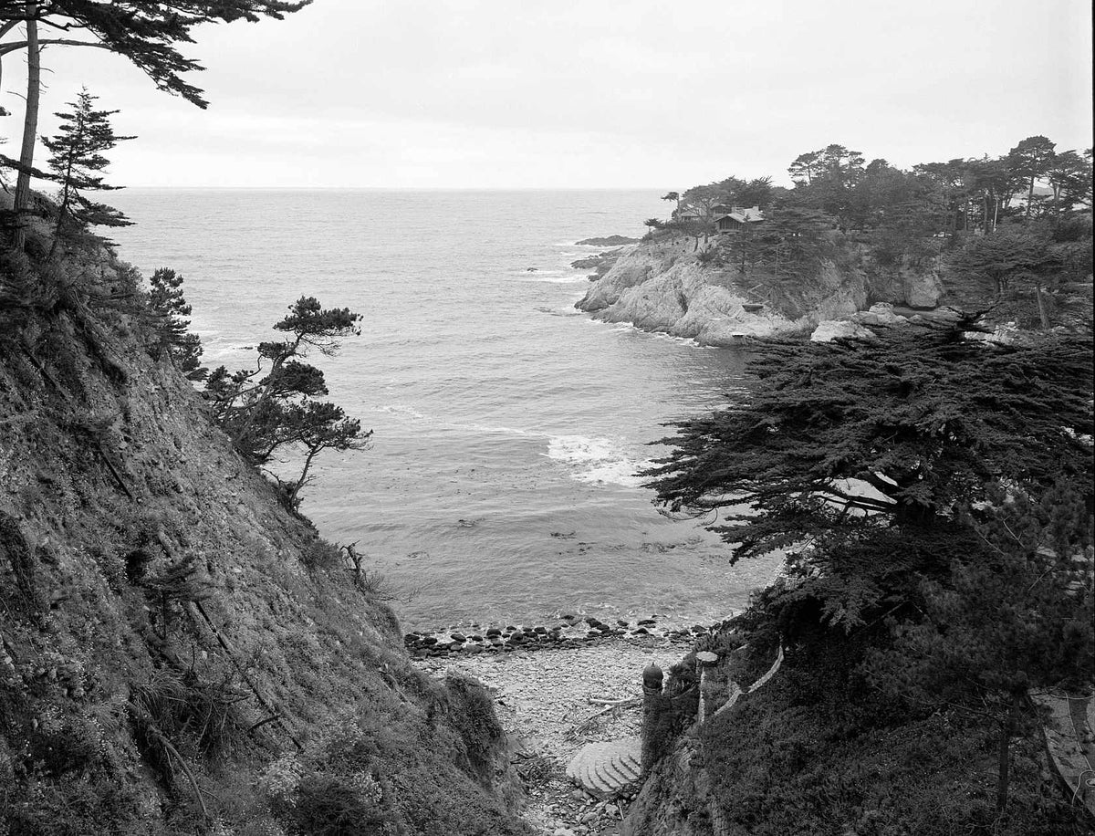 Kodak Ektapan 400 Black & White 36 Exp Film