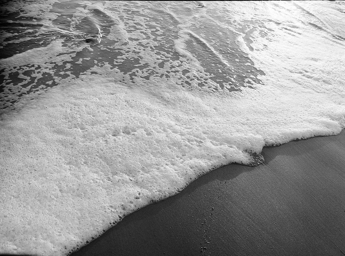 Kodak Tri-X 400 120 Film 5 Pack - B&W