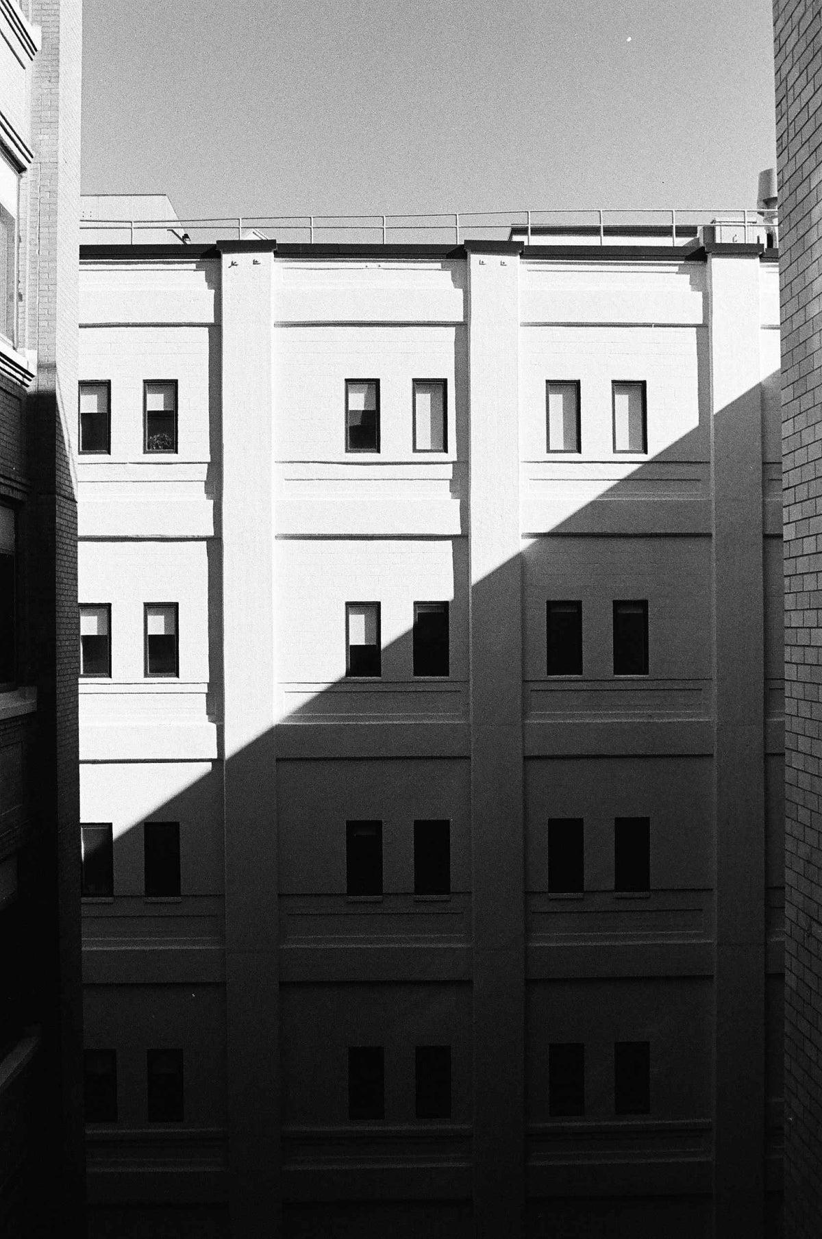 Kodak Tri-X 400 120 Film 5 Pack - B&W