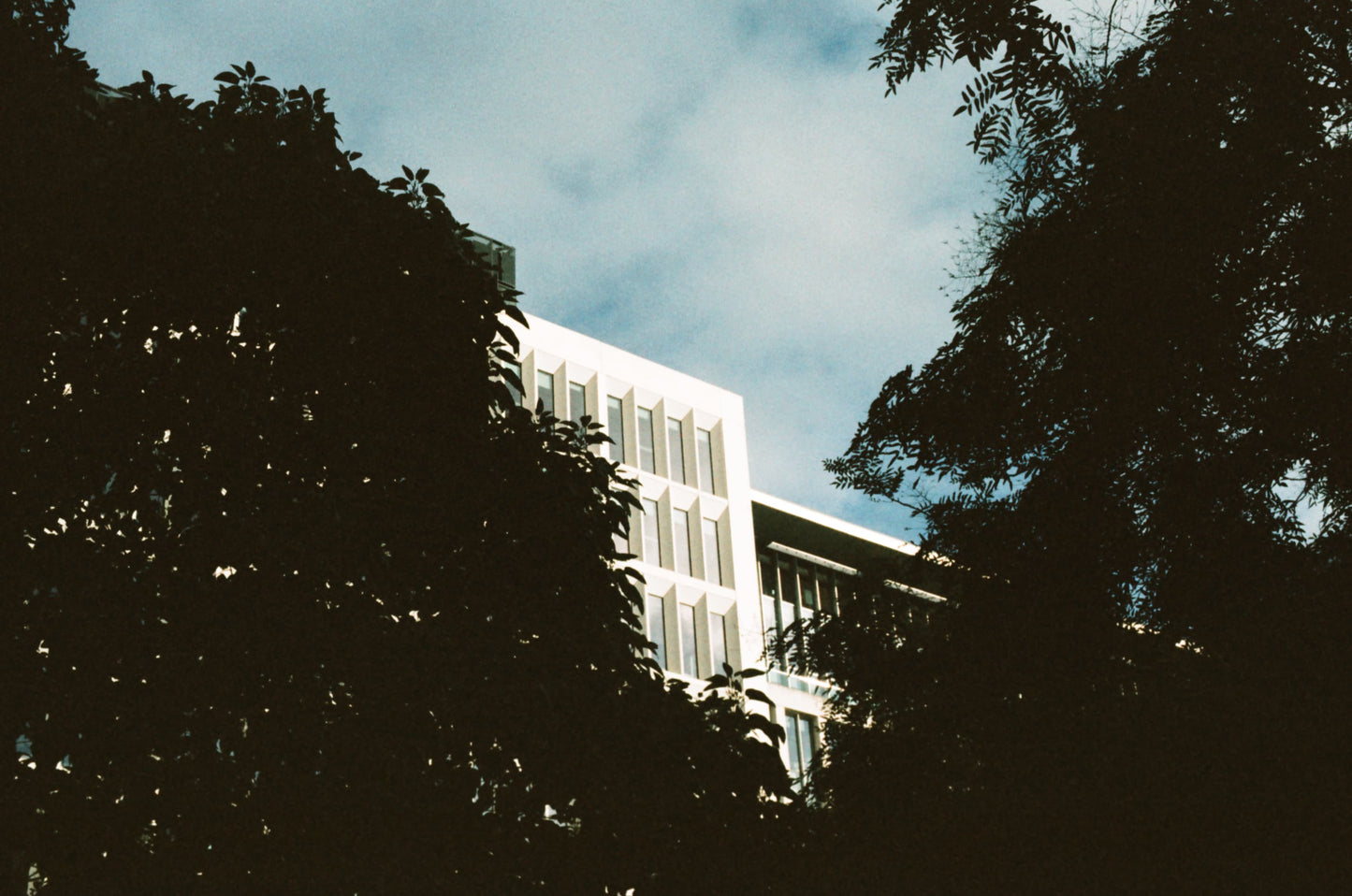 Cinemot Lisboa 1999 400D Colour Film 36 Exposure