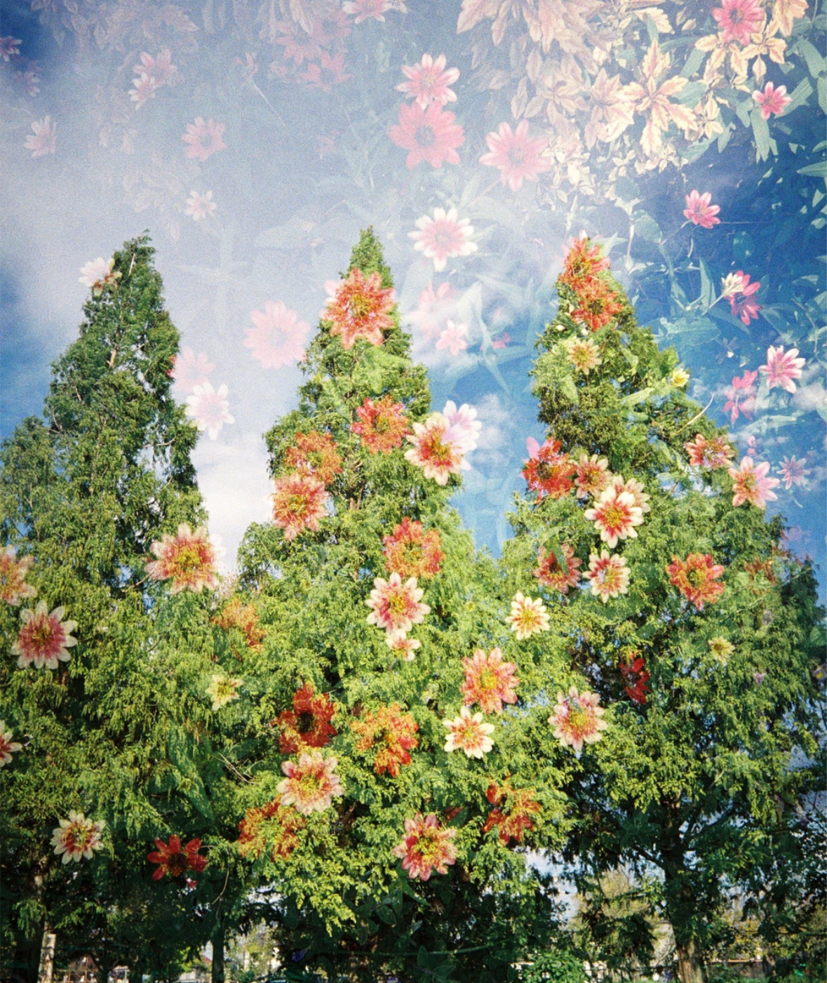 Kodak Snapic A1 Film Camera 35mm - PRE-ORDER