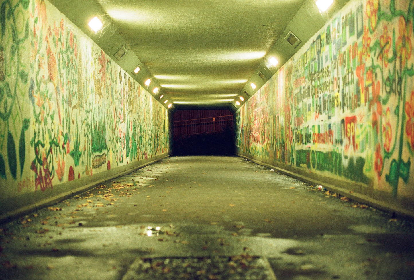 Flic Film Aurora 400 36 Exposure Colour Film