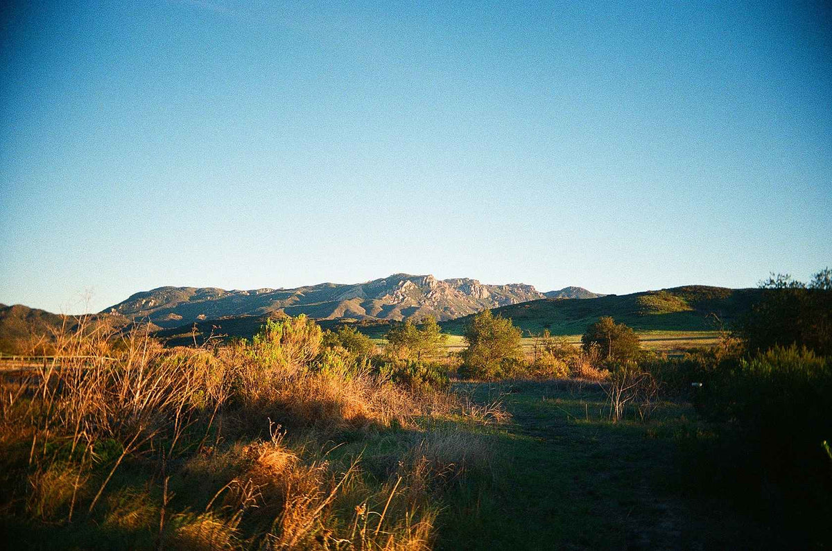 Kodak Ultramax 400 24 Exposure 3 Pack