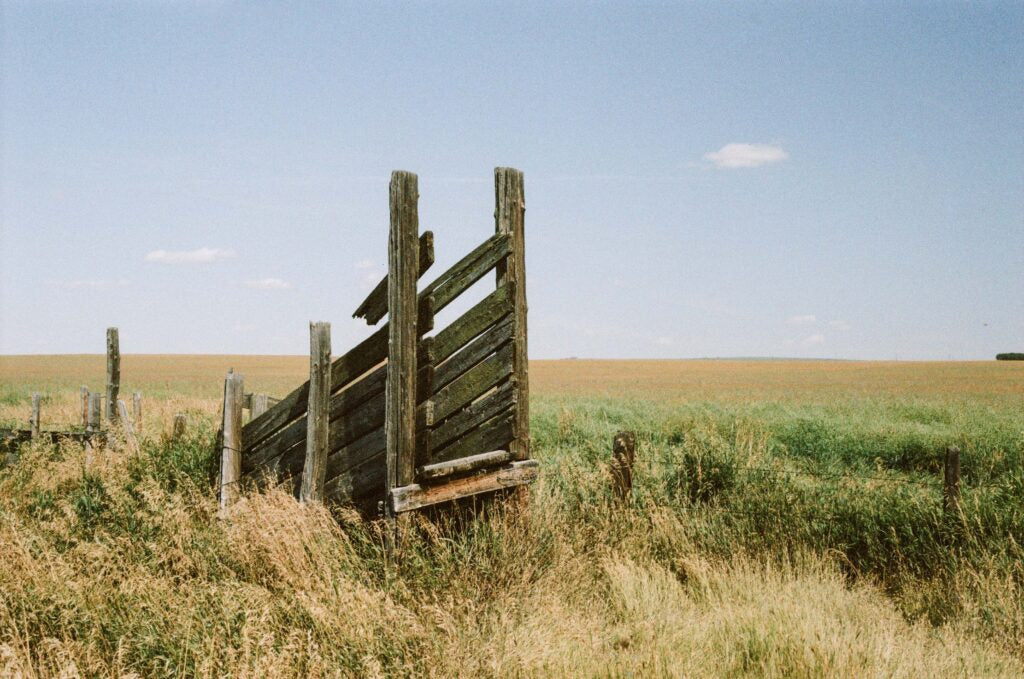 Flic Nostalgia 400 Film 36 Exp