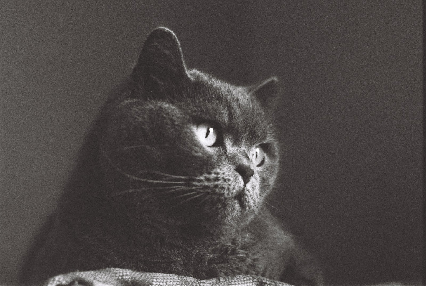 Dragon Film No 1 - Black & White - 24 Exp
