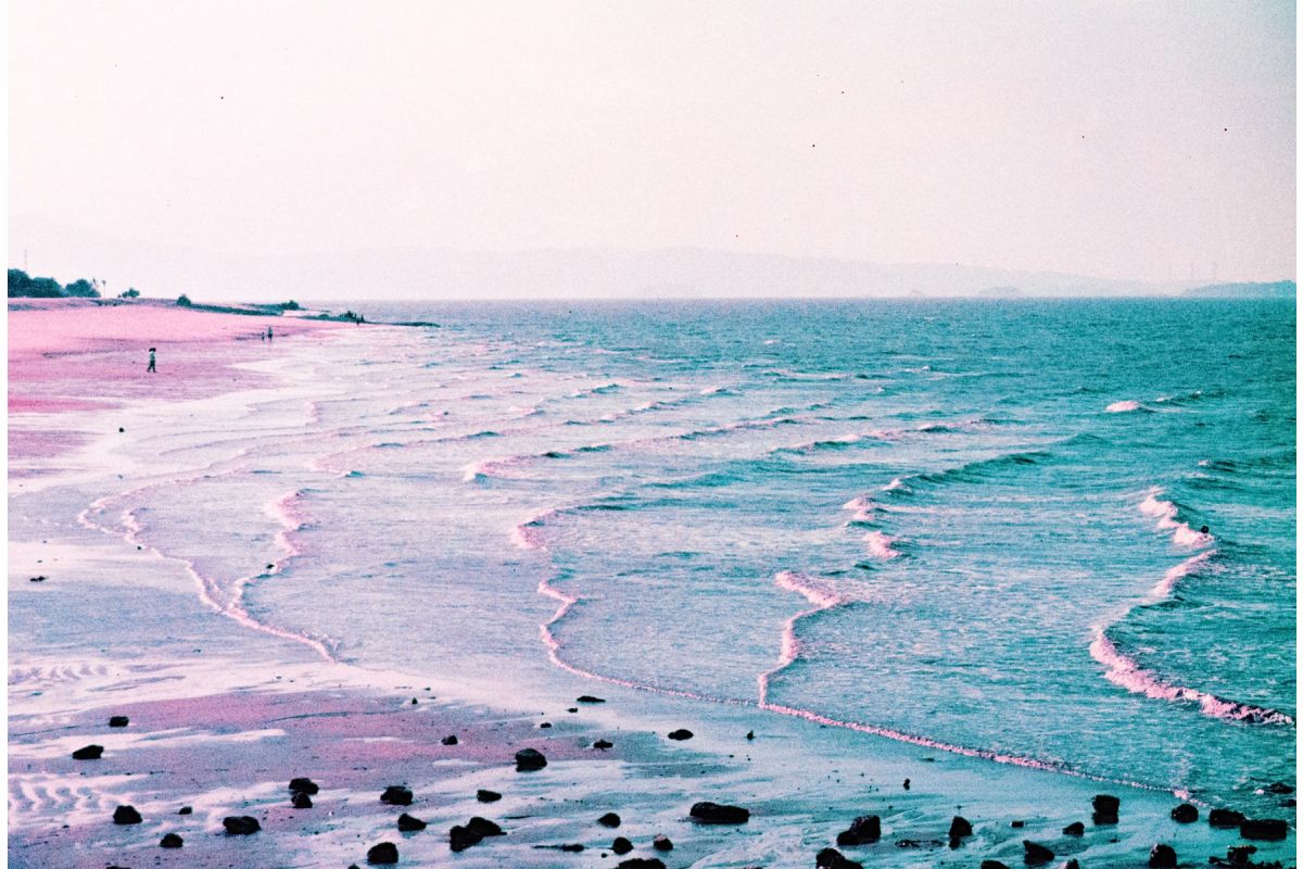 Lomography LomoChrome Purple 35mm Film 100-400 ISO