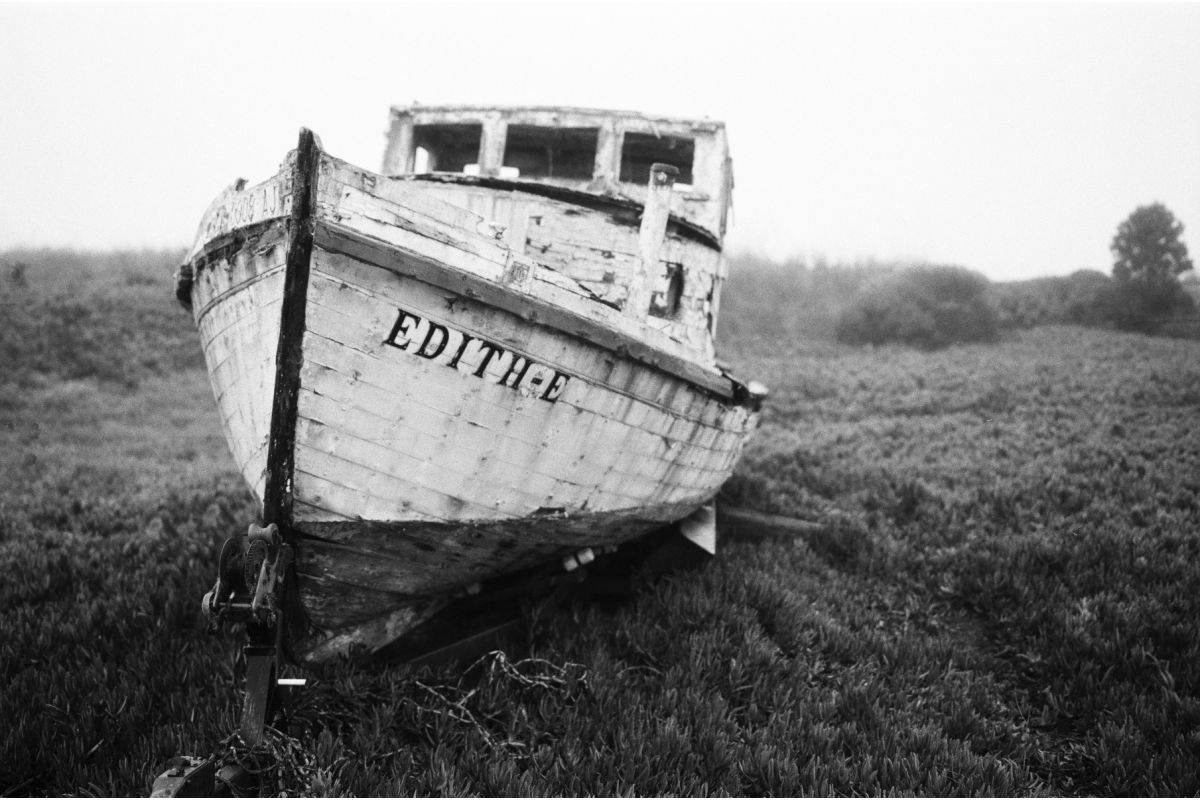 Lomography Potsdam Kino B&W ISO 100 35mm Film 36 Exp
